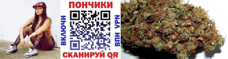 Где купить наркоту Ивдель Каннабис  A PVP  COCAIN  Гашиш  Меф 