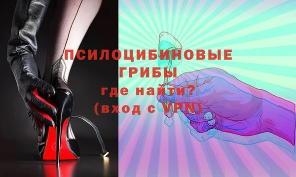 шишки Волосово