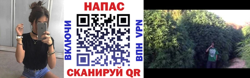 Конопля индика  гидра как зайти  Ивдель 